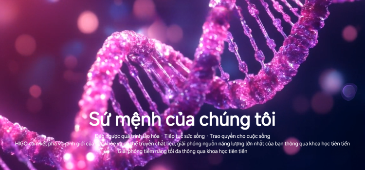 Viên chống lão hóa GnAKG